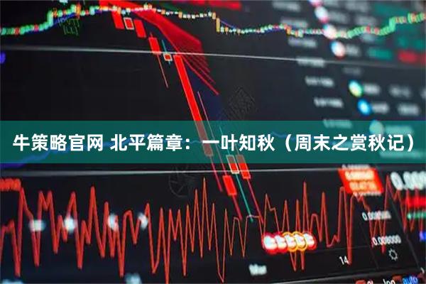 牛策略官网 北平篇章：一叶知秋（周末之赏秋记）