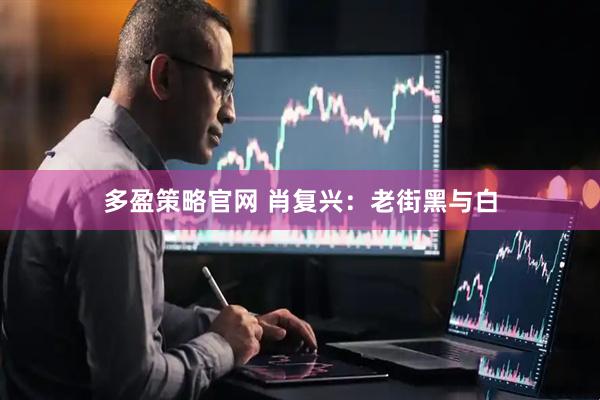 多盈策略官网 肖复兴：老街黑与白