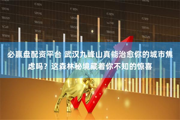 必赢盘配资平台 武汉九峰山真能治愈你的城市焦虑吗？这森林秘境藏着你不知的惊喜